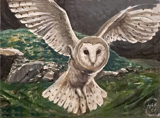 Cailleach oíche ar Sliabh na Caillí / Owl on the mountain of the Cailleach